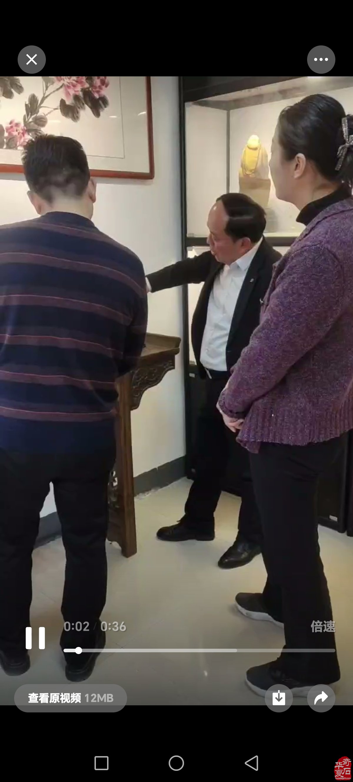 淮南市观赏石协会代表团将赴洛阳参展