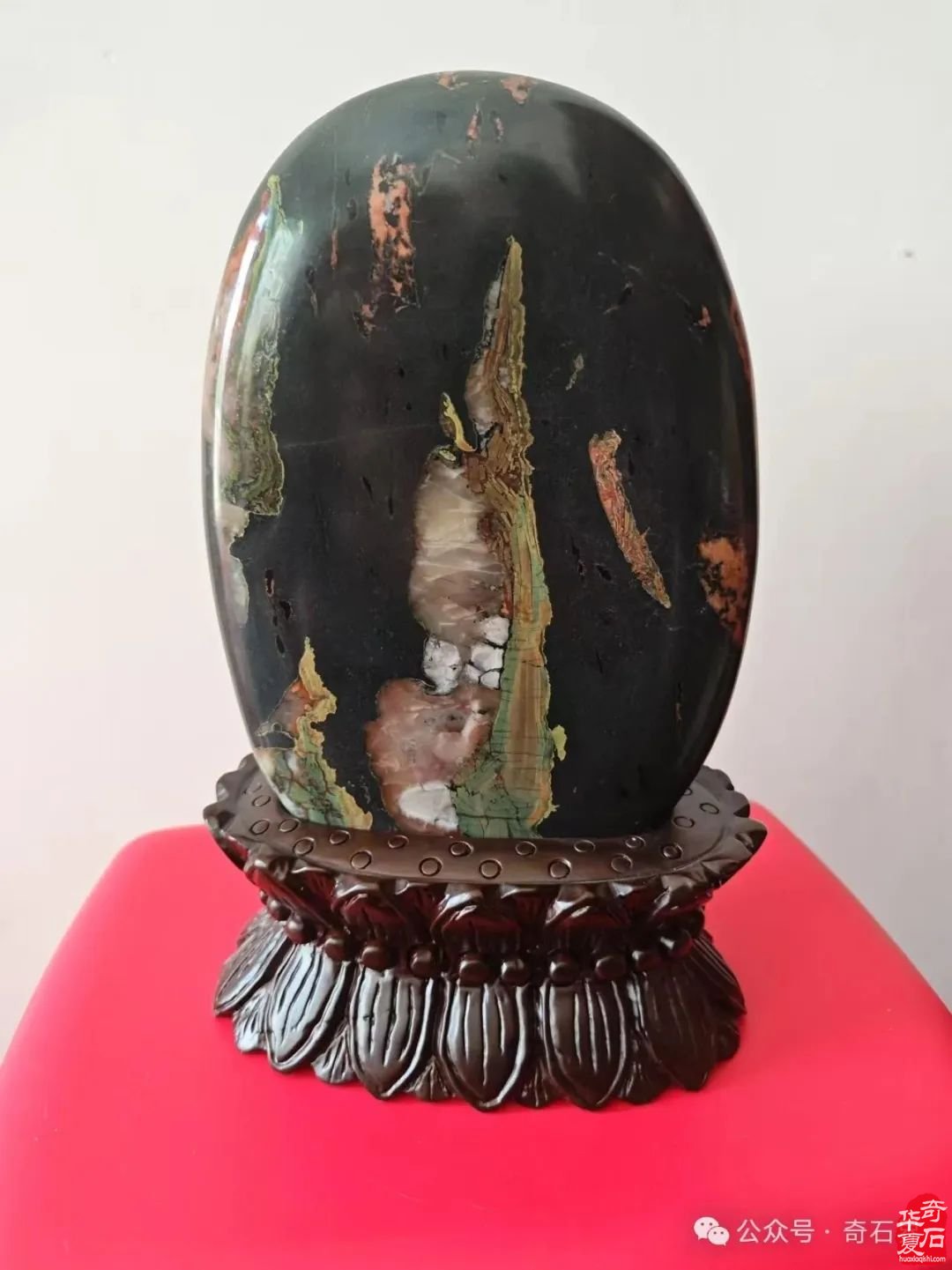 奇石“特朗普”4月1日将现身洛阳石展 组图