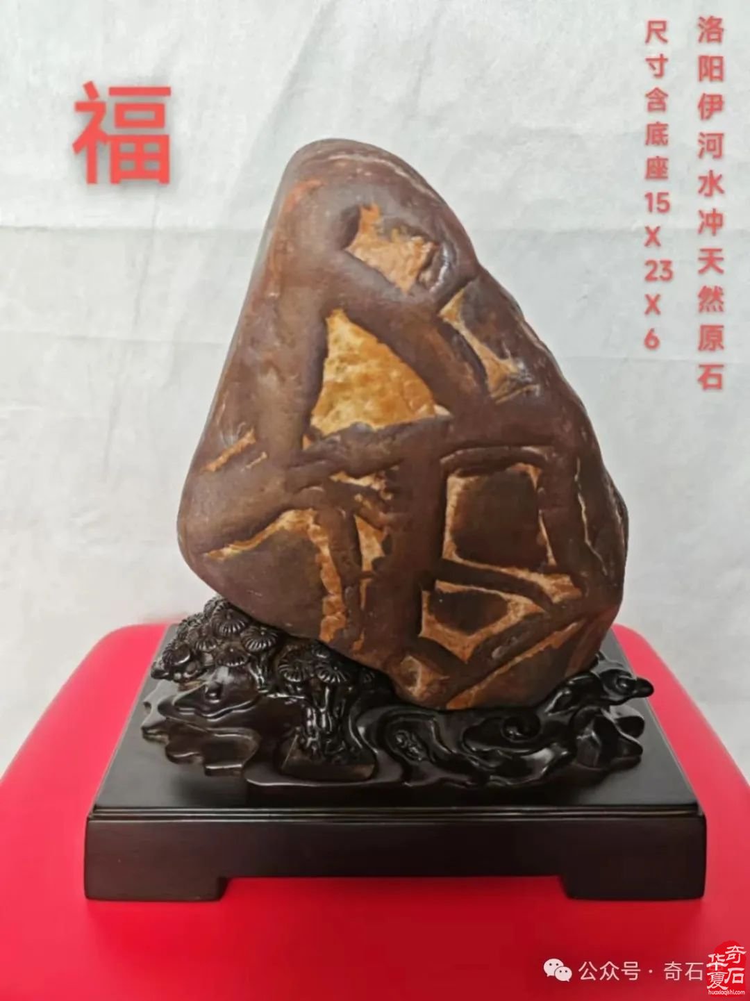 奇石“特朗普”4月1日将现身洛阳石展 组图