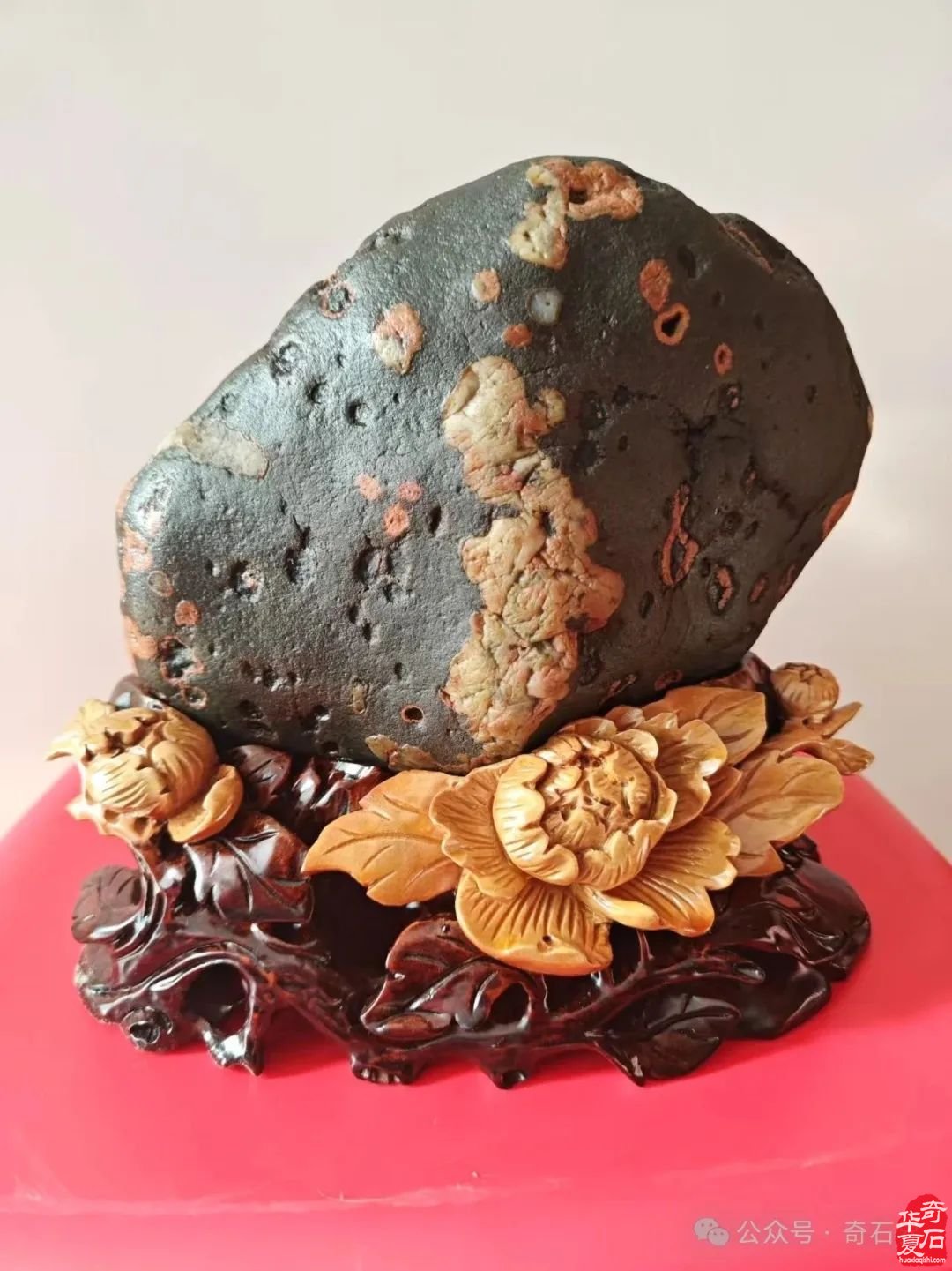 奇石“特朗普”4月1日将现身洛阳石展 组图