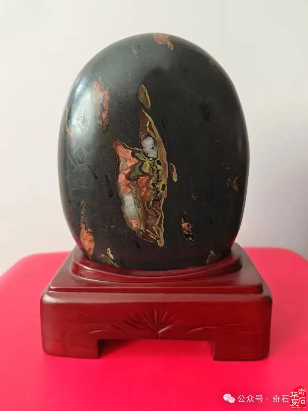 奇石“特朗普”4月1日将现身洛阳石展 组图