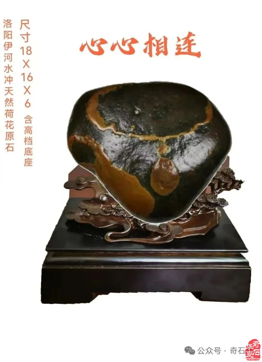 奇石“特朗普”4月1日将现身洛阳石展 组图