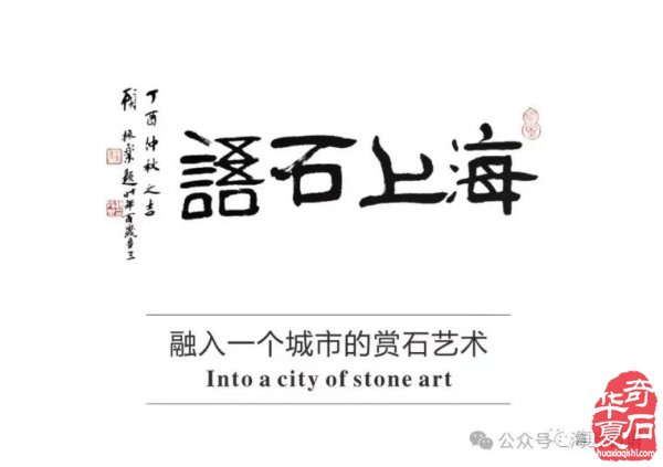 工夫在石外,赏石在“山外”:金炜《山外》新书在常州石展首发