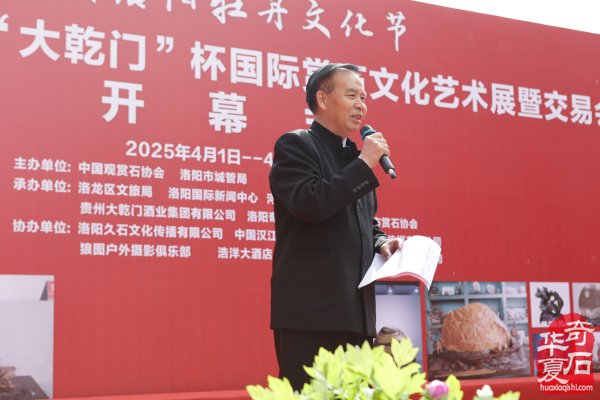 不同视角看洛阳三十三届赏石文化艺术展