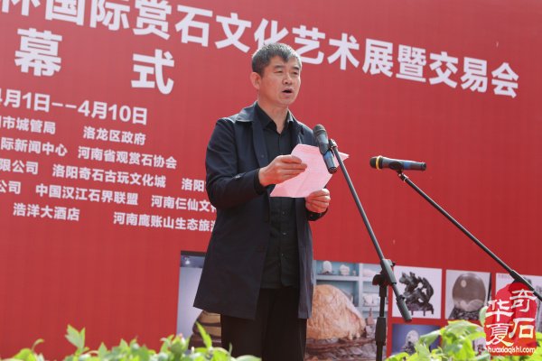 不同视角看洛阳三十三届赏石文化艺术展
