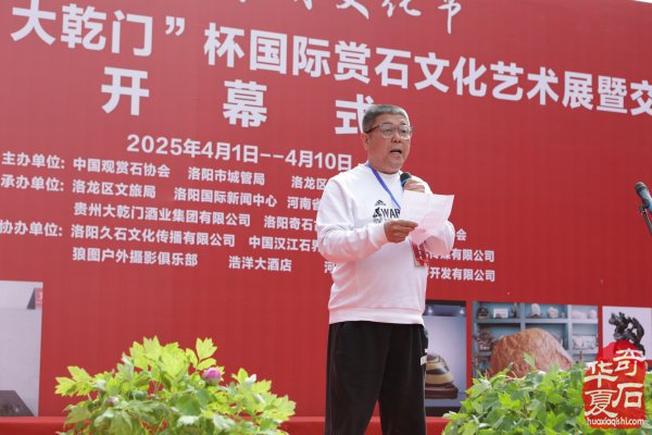 不同视角看洛阳三十三届赏石文化艺术展