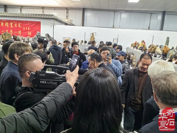 不同视角看洛阳三十三届赏石文化艺术展