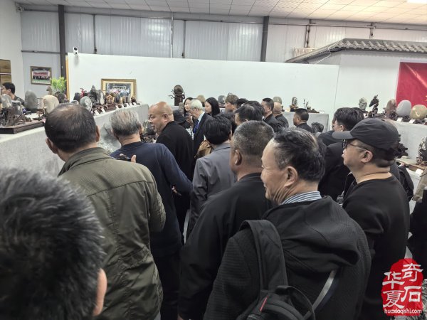 不同视角看洛阳三十三届赏石文化艺术展