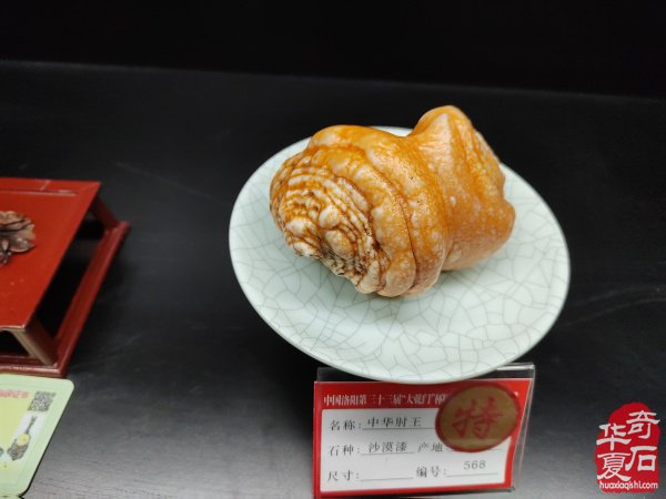 中国洛阳第三十三届“大乾门杯”国际赏石文化艺术展暨交易会于2025年4月1日盛大开幕精品展出的特等奖8方