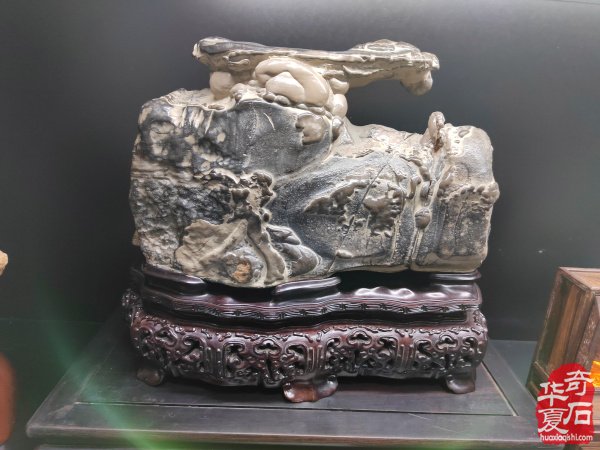 中国洛阳第三十三届“大乾门杯”国际赏石文化艺术展暨交易会于2025年4月1日盛大开幕精品展出的特等奖8方