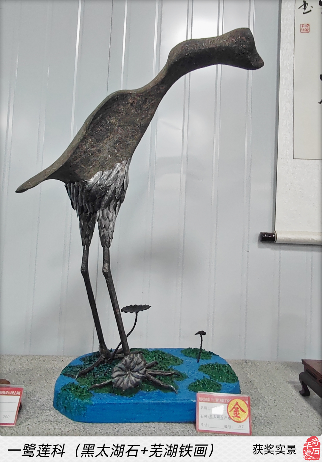 洛阳展会“一鹭莲科”的一路辉煌