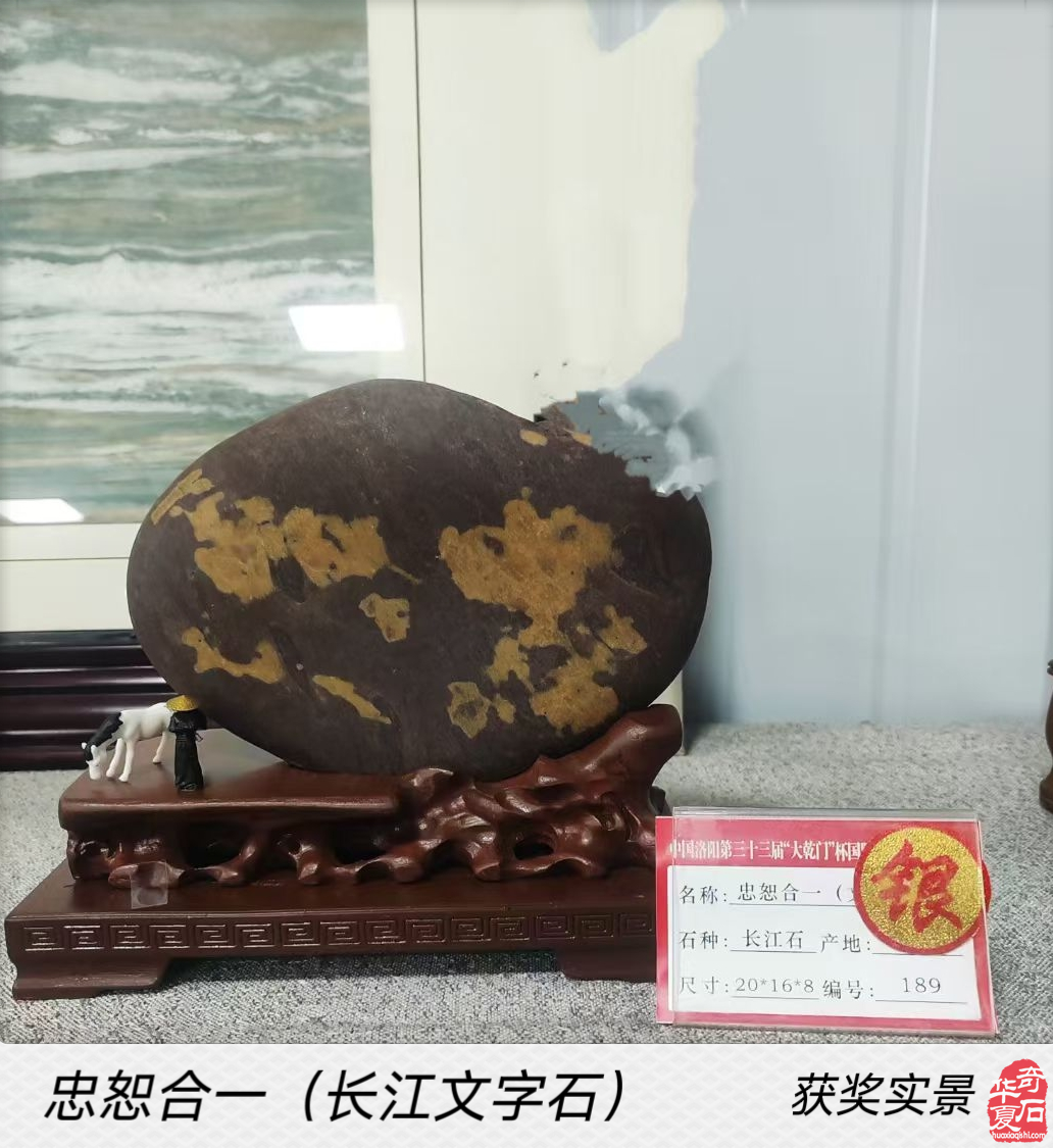 洛阳展会“一鹭莲科”的一路辉煌