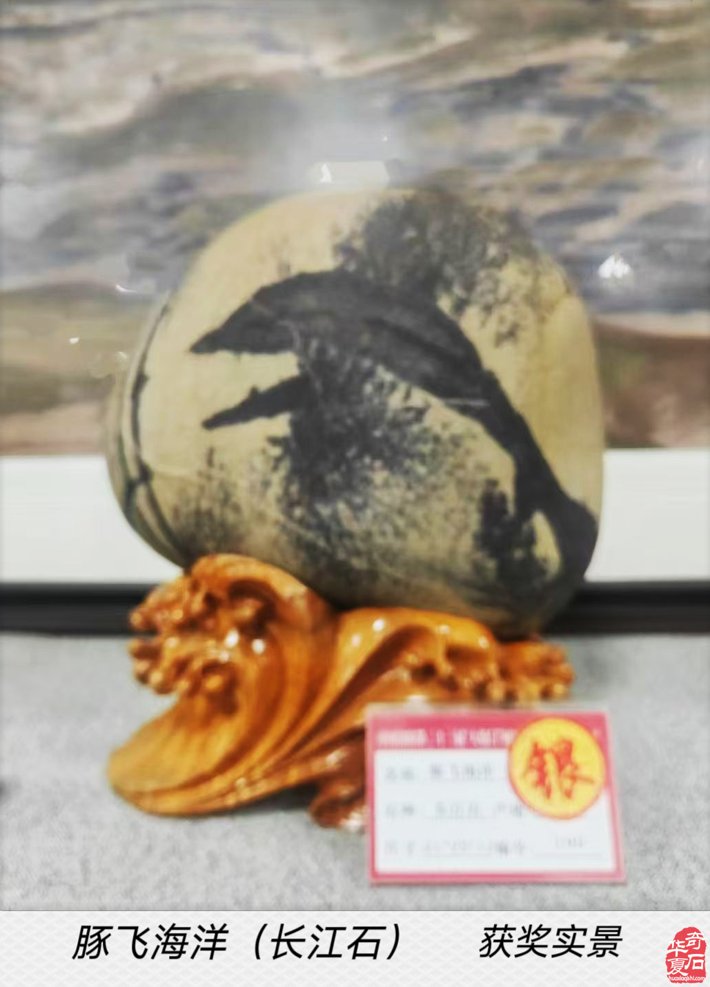 洛阳展会“一鹭莲科”的一路辉煌