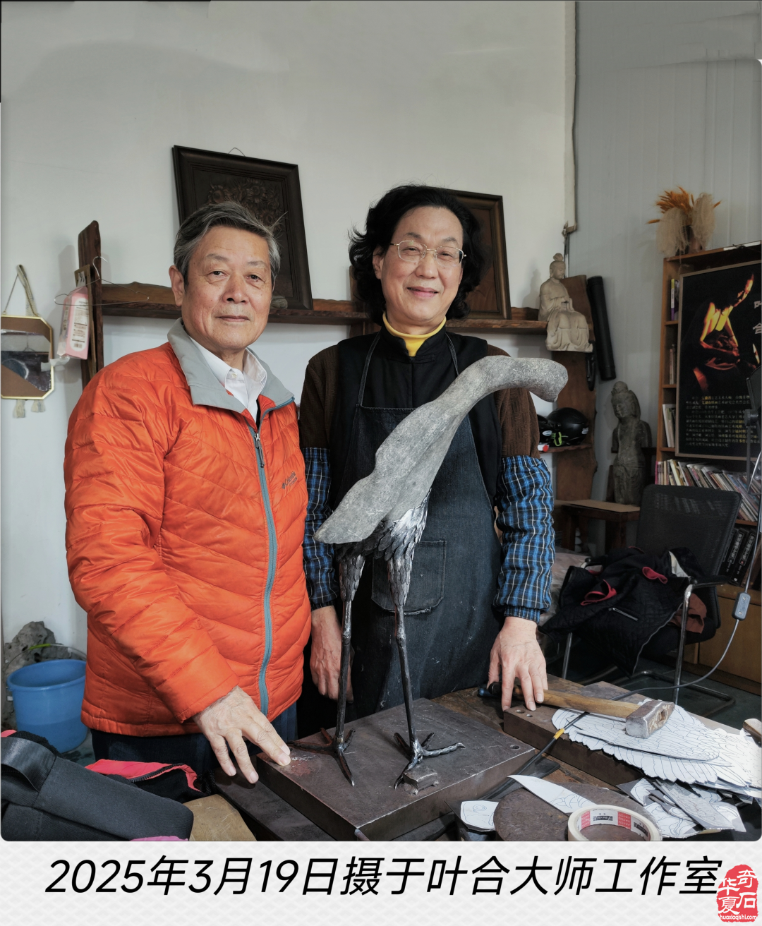 洛阳展会“一鹭莲科”的一路辉煌