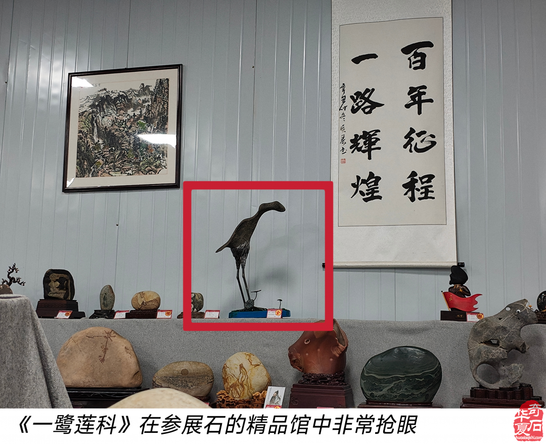 洛阳展会“一鹭莲科”的一路辉煌