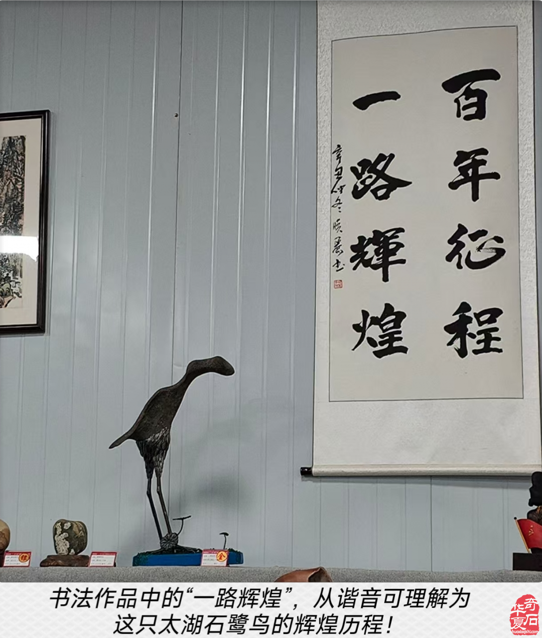 洛阳展会“一鹭莲科”的一路辉煌