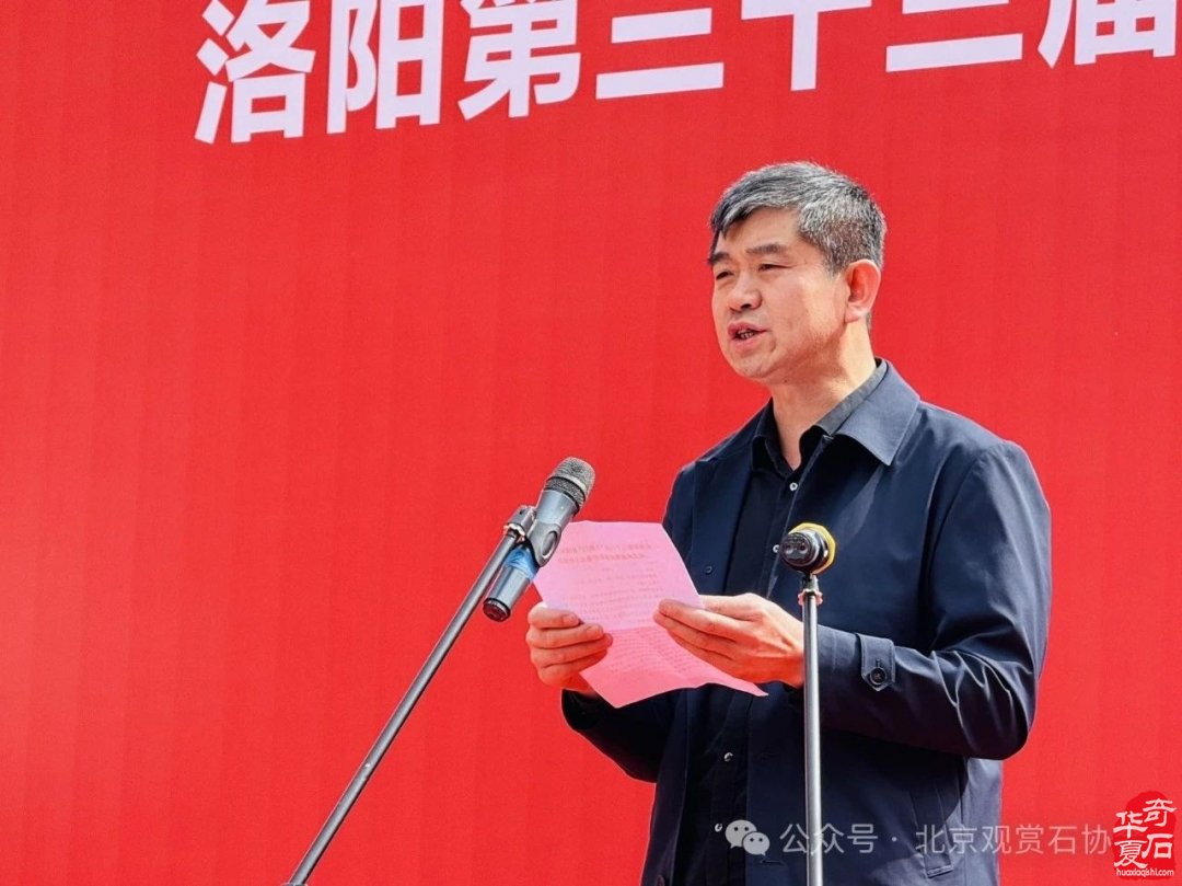 特级展品权威发布|中国洛阳第三十三届大乾门杯国际赏石文化艺术展暨交易会盛大开幕