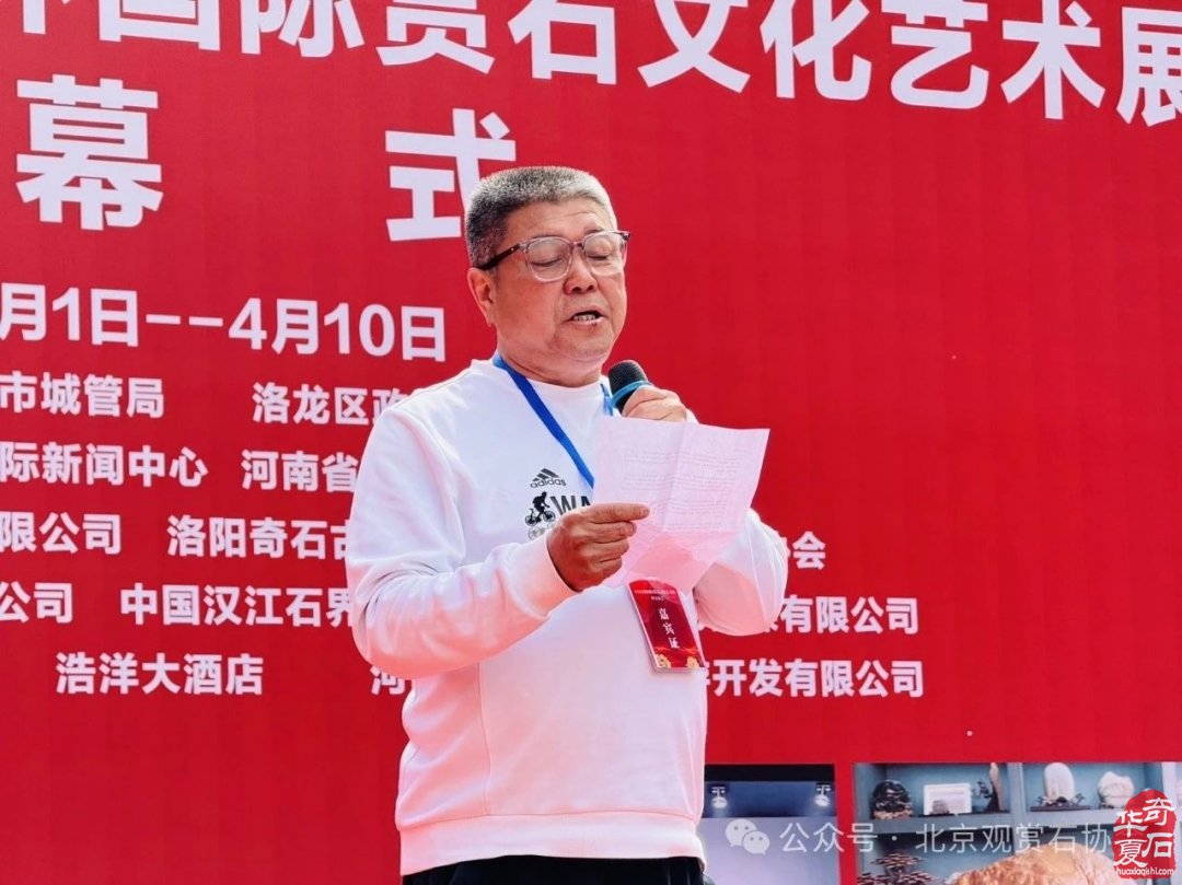 特级展品权威发布|中国洛阳第三十三届大乾门杯国际赏石文化艺术展暨交易会盛大开幕