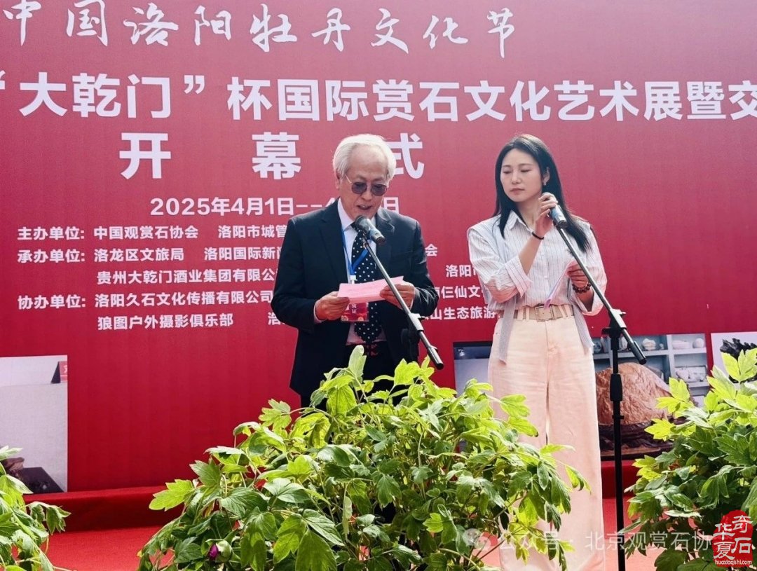 特级展品权威发布|中国洛阳第三十三届大乾门杯国际赏石文化艺术展暨交易会盛大开幕