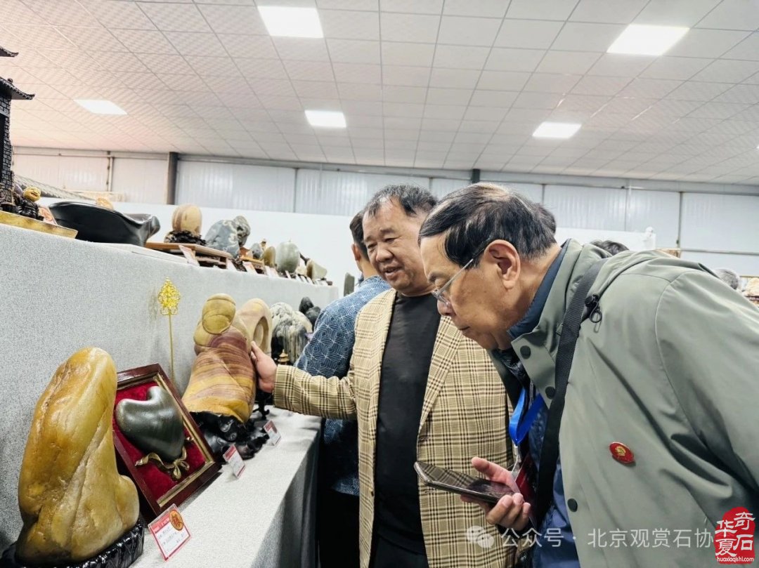 特级展品权威发布|中国洛阳第三十三届大乾门杯国际赏石文化艺术展暨交易会盛大开幕