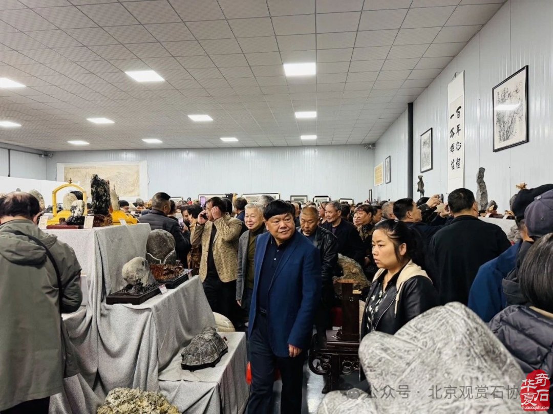 特级展品权威发布|中国洛阳第三十三届大乾门杯国际赏石文化艺术展暨交易会盛大开幕