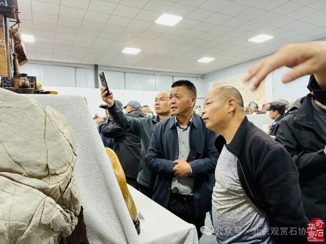 特级展品权威发布|中国洛阳第三十三届大乾门杯国际赏石文化艺术展暨交易会盛大开幕