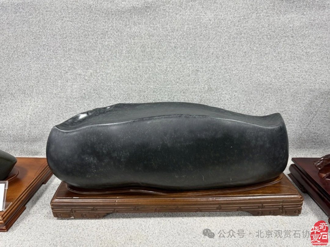 特级展品权威发布|中国洛阳第三十三届大乾门杯国际赏石文化艺术展暨交易会盛大开幕