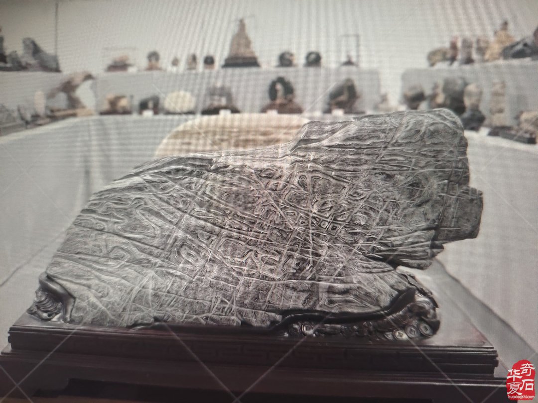 特级展品权威发布|中国洛阳第三十三届大乾门杯国际赏石文化艺术展暨交易会盛大开幕