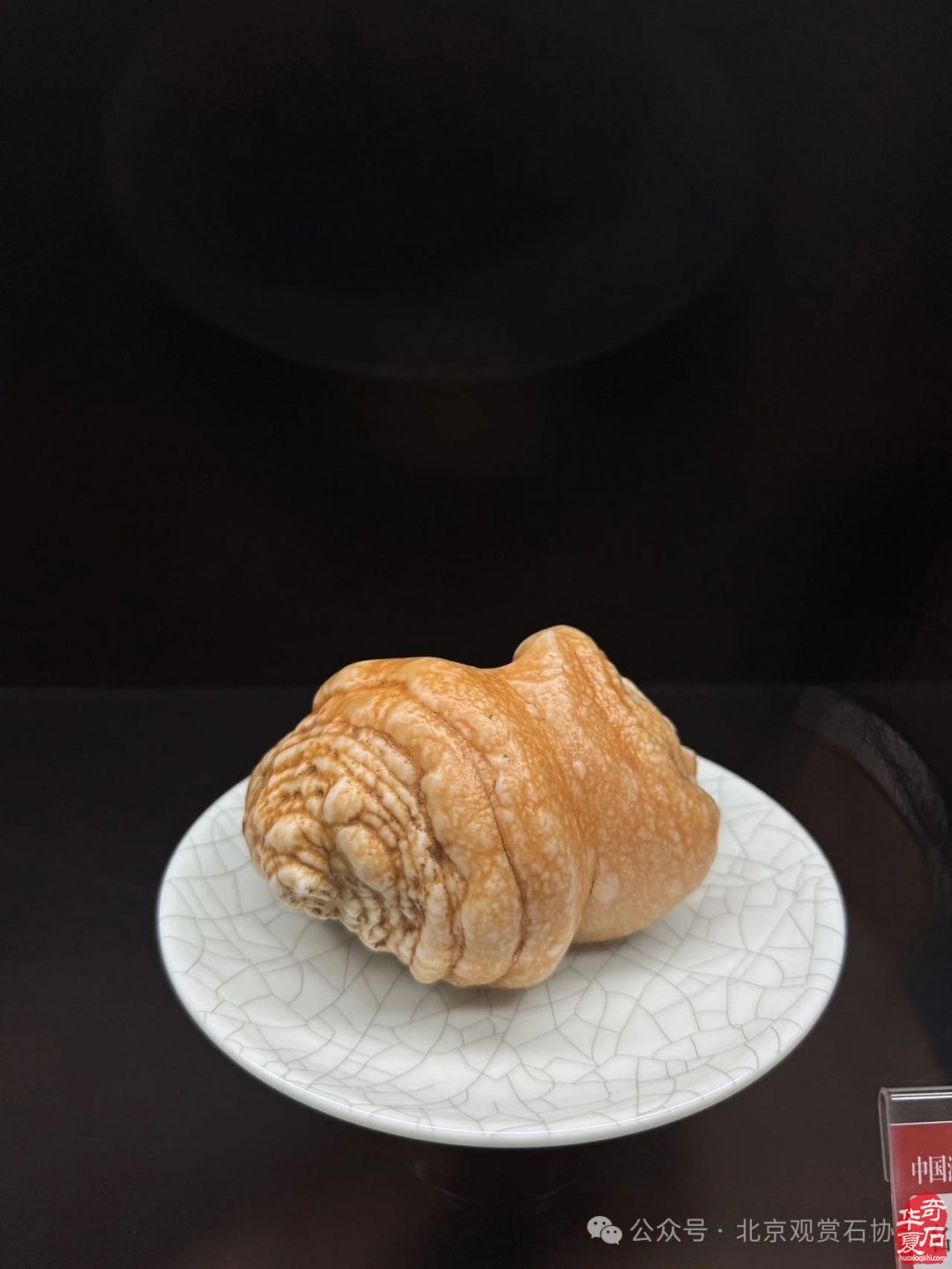 特级展品权威发布|中国洛阳第三十三届大乾门杯国际赏石文化艺术展暨交易会盛大开幕