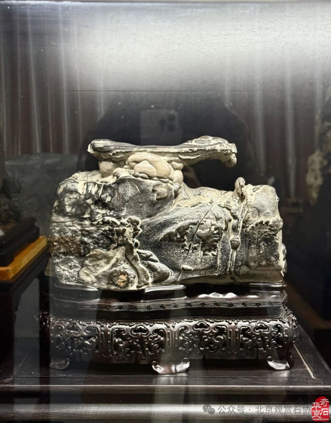 特级展品权威发布|中国洛阳第三十三届大乾门杯国际赏石文化艺术展暨交易会盛大开幕