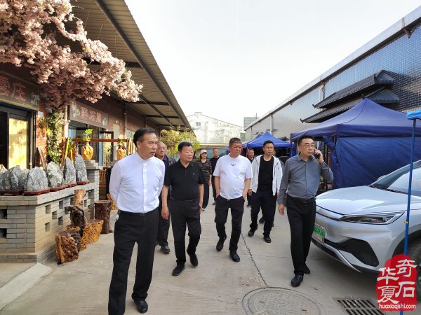 河南省观赏石协会会长率团莅临洛阳第三十三届国际赏石艺术展考察指导