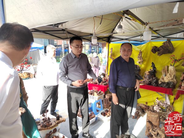 河南省观赏石协会会长率团莅临洛阳第三十三届国际赏石艺术展考察指导