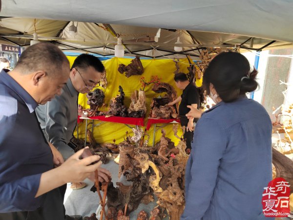 河南省观赏石协会会长率团莅临洛阳第三十三届国际赏石艺术展考察指导