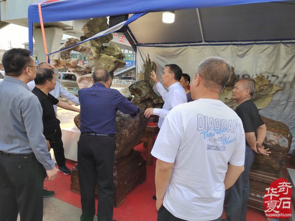 河南省观赏石协会会长率团莅临洛阳第三十三届国际赏石艺术展考察指导