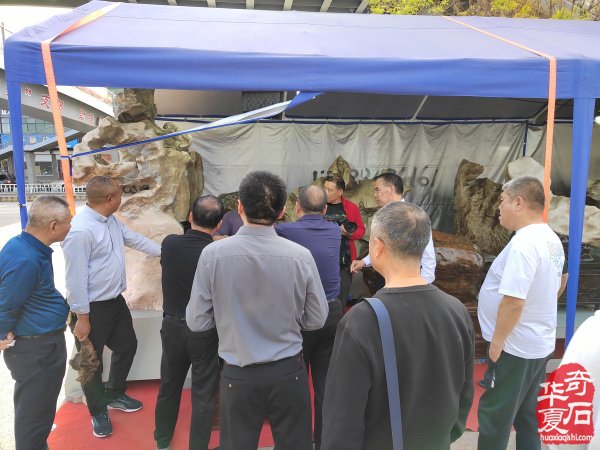 河南省观赏石协会会长率团莅临洛阳第三十三届国际赏石艺术展考察指导