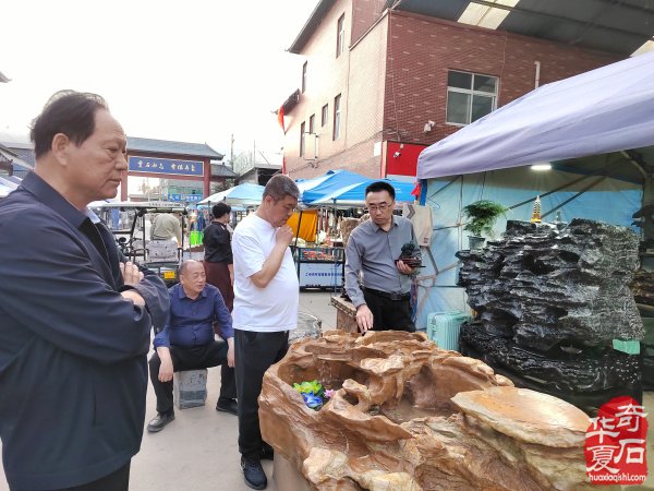 河南省观赏石协会会长率团莅临洛阳第三十三届国际赏石艺术展考察指导