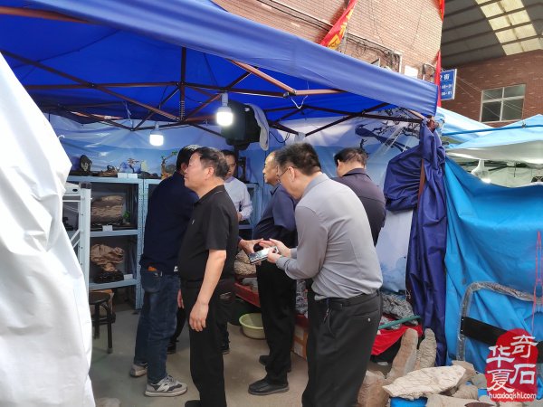 河南省观赏石协会会长率团莅临洛阳第三十三届国际赏石艺术展考察指导