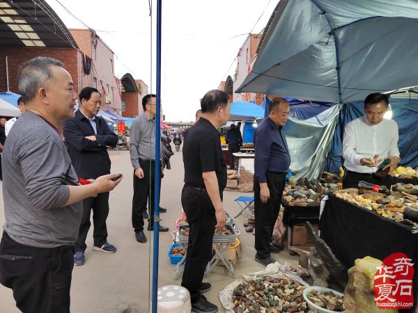 河南省观赏石协会会长率团莅临洛阳第三十三届国际赏石艺术展考察指导