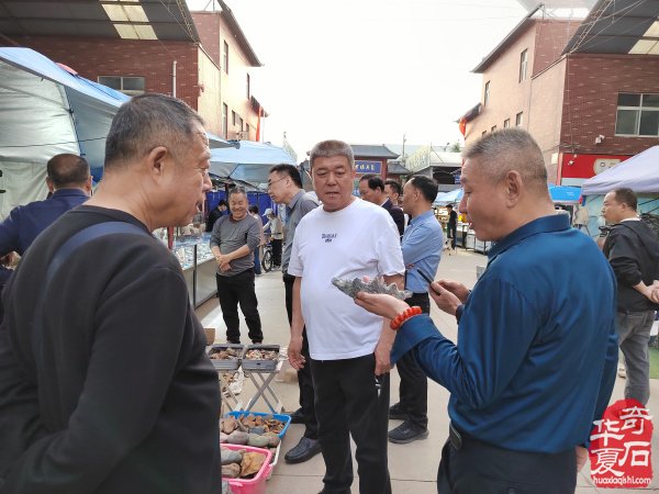 河南省观赏石协会会长率团莅临洛阳第三十三届国际赏石艺术展考察指导