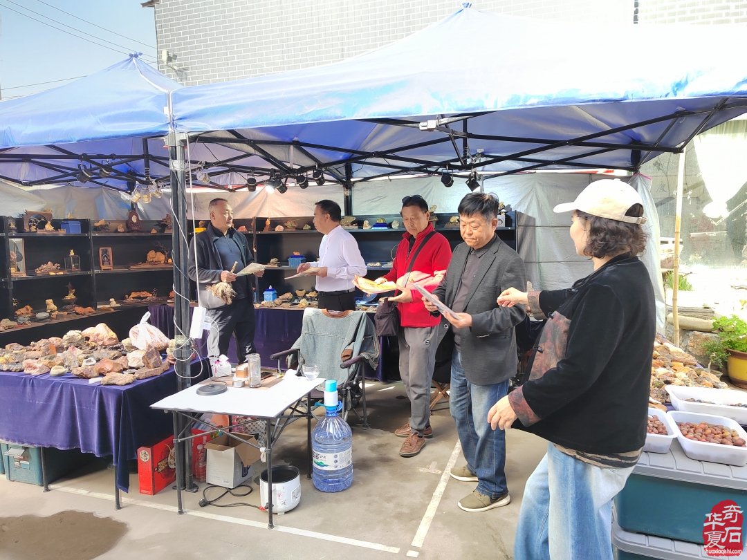 洛阳市赏石协会助力义乌石展