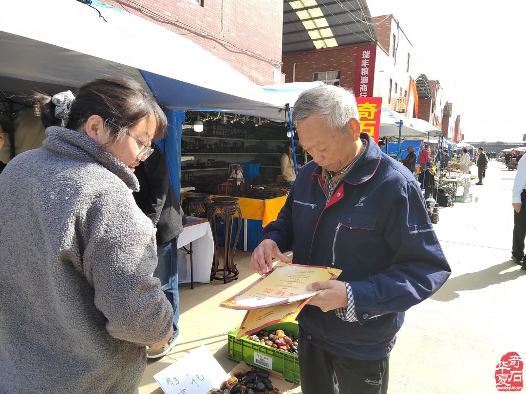 洛阳市赏石协会助力义乌石展