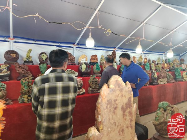 洛阳第三十三届“大乾门杯”国际赏石展落幕后的思考