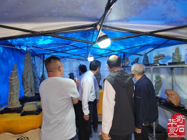洛阳第三十三届“大乾门杯”国际赏石展落幕后的思考