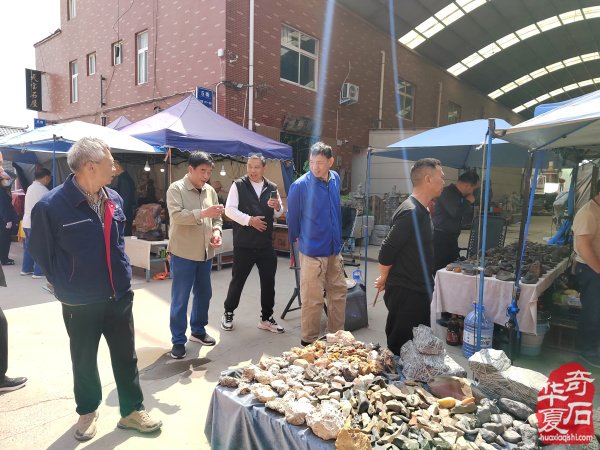 洛阳第三十三届“大乾门杯”国际赏石展落幕后的思考