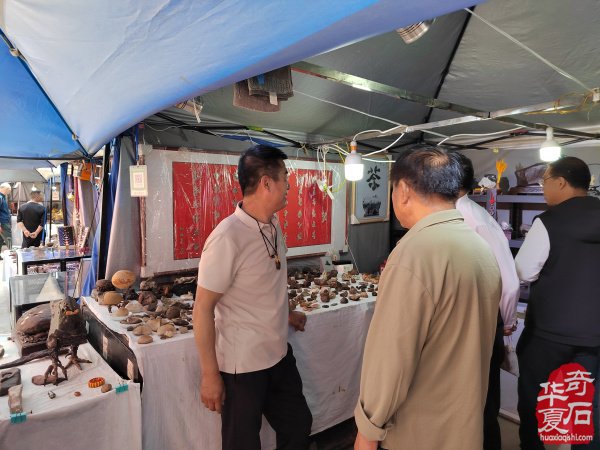 洛阳第三十三届“大乾门杯”国际赏石展落幕后的思考