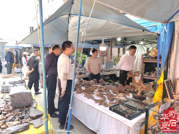 洛阳第三十三届“大乾门杯”国际赏石展落幕后的思考