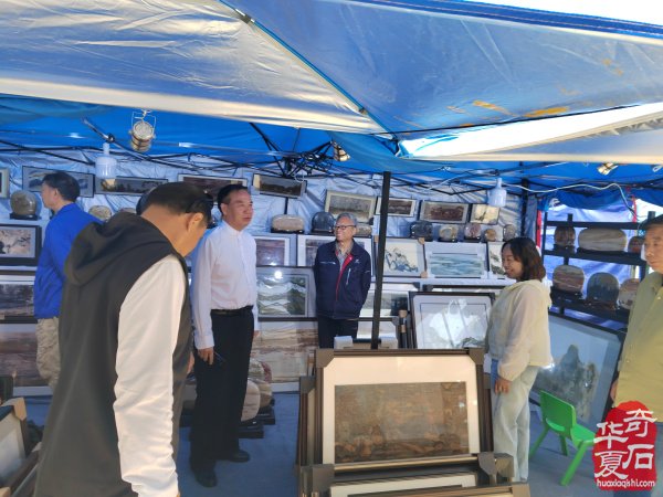 洛阳第三十三届“大乾门杯”国际赏石展落幕后的思考