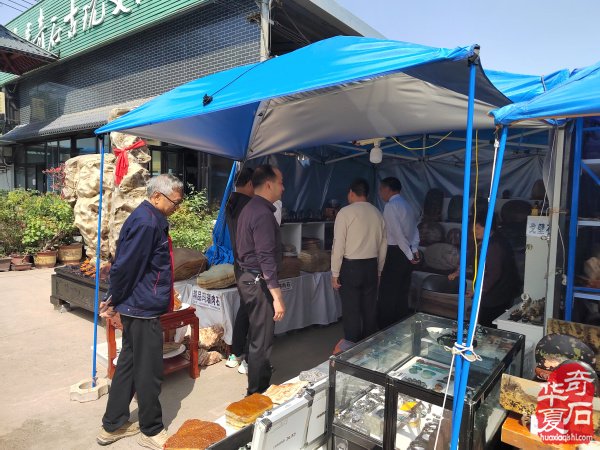 洛阳第三十三届“大乾门杯”国际赏石展落幕后的思考