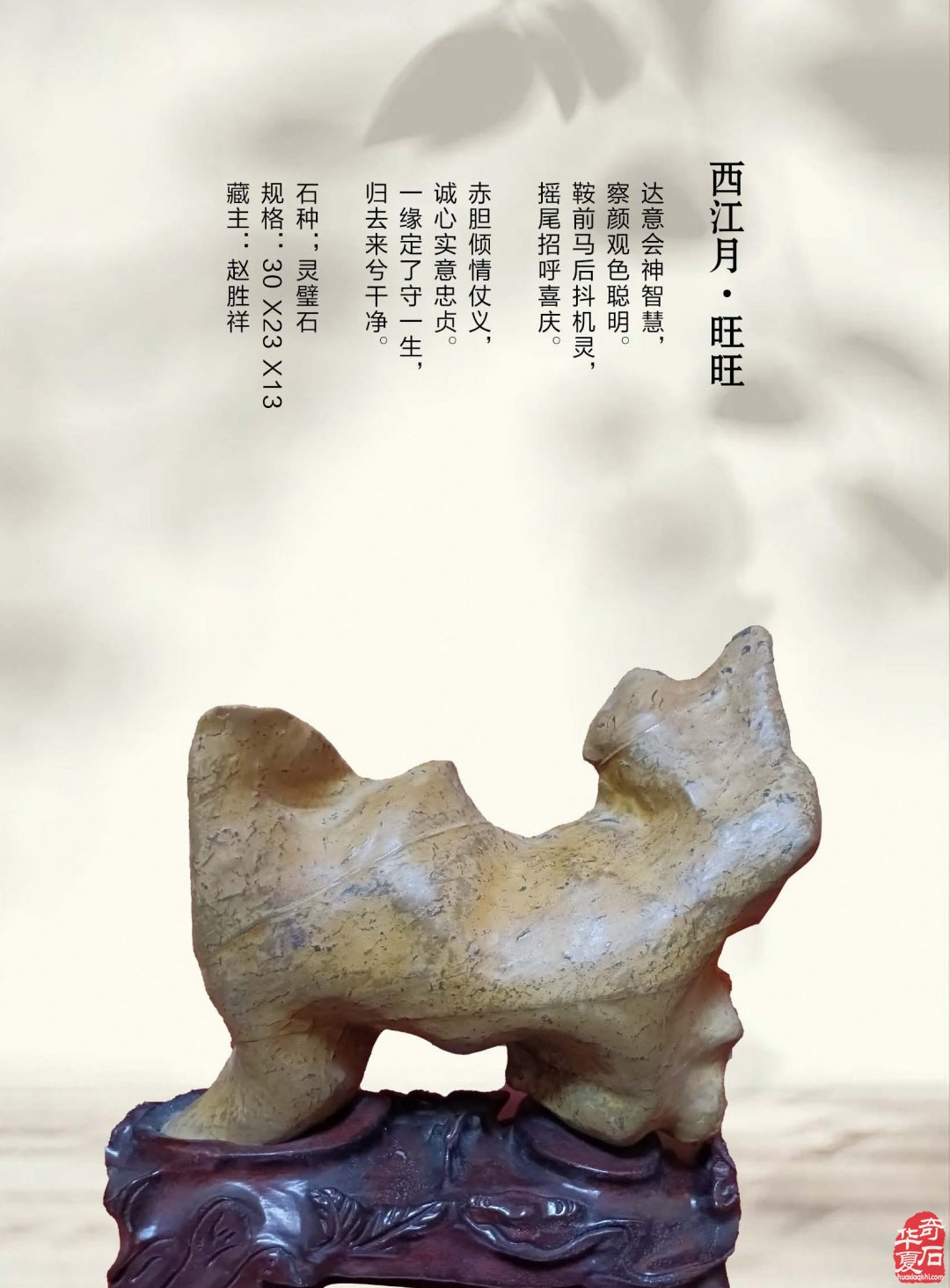 《于公赏石》带你便捷浏览石界