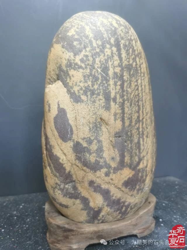 读诗赏石 ——苏轼 ·《定风波 ·莫听穿林打叶声》